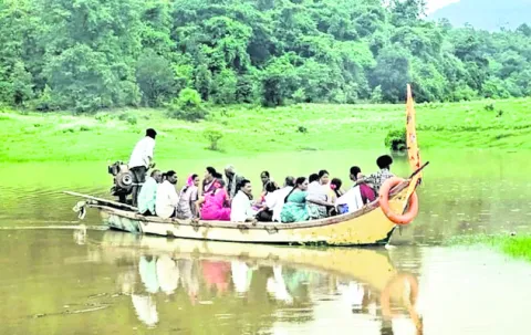 పెరుగ