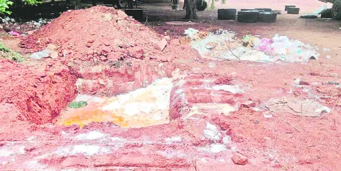 ప్రభుత్వ విద్యాలయాల్లో రాజకీయ వేదికలా. 