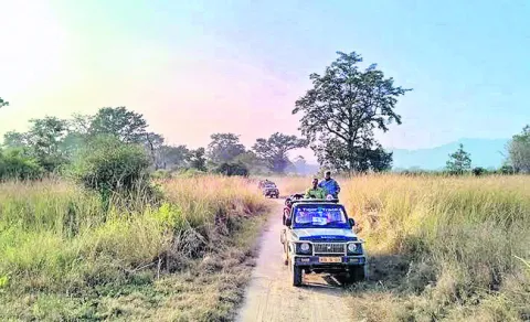 కిన్న