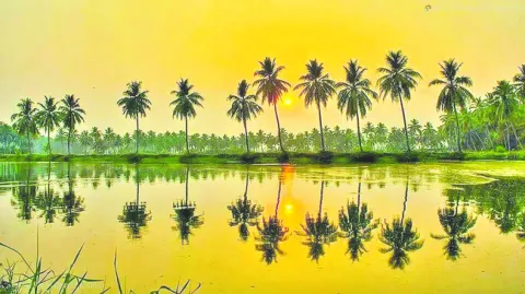 కన్ను