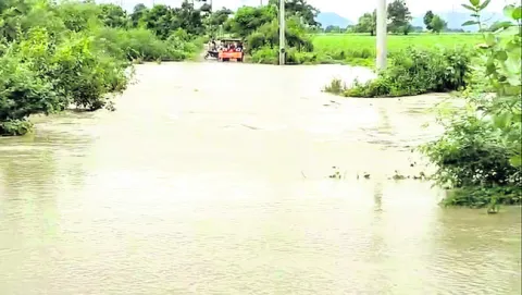 లోలెవ