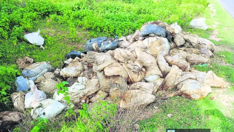 ప్రాణాలతో చలగాటం
