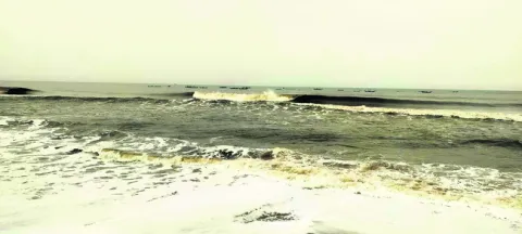 వేటకు