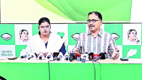 వీడియో దుమారం