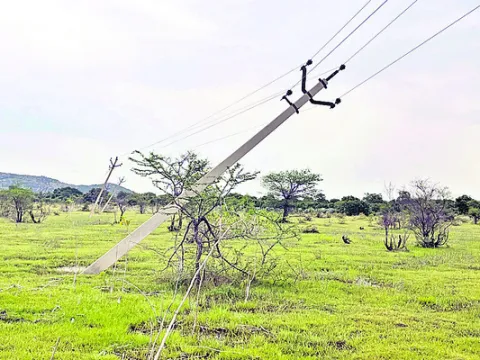 ప్రమా