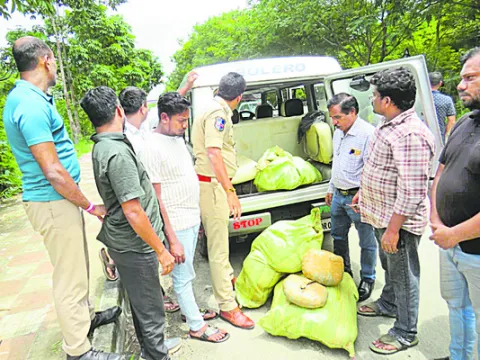 128 కిలోల ఎండు గంజాయి స్వాధీనం 