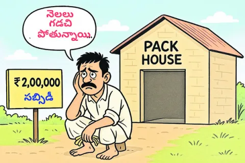 ప్యాక