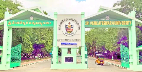 అయోమయం