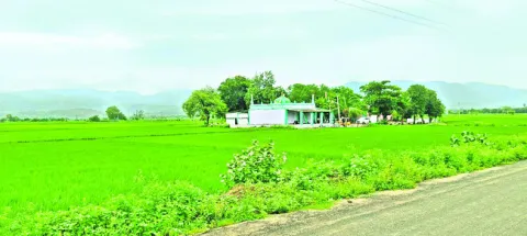 పు డ 
