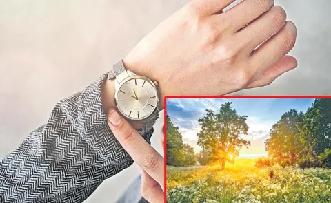 Time Management Strategies for Success