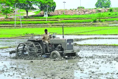రెండు పంటలకూ భరోసా 
