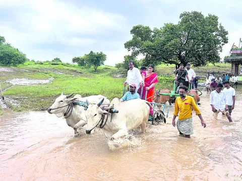 పంట నష్టంపై ఆరా..