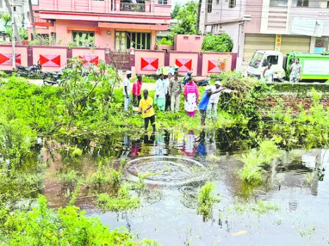 బాపట్లలో ప్రత్యేక పారిశుద్ధ్య కార్యక్రమాలు 
