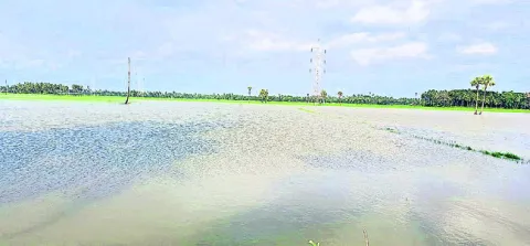 ఎడతెగ