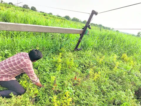 మృత్య