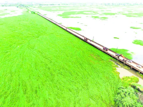గోదావరి వడివడి.. కొల్లేరులో అలజడి 