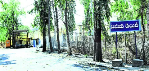 పాల అమ్మకాలు ఎందుకు తగ్గుతున్నాయి?