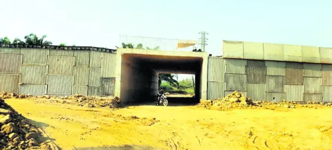 శ్రీన