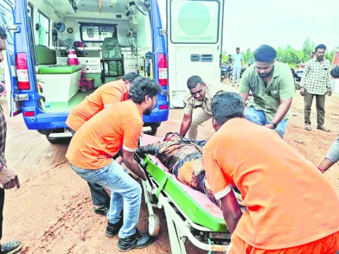 లారీన
