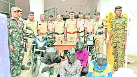 భార్య