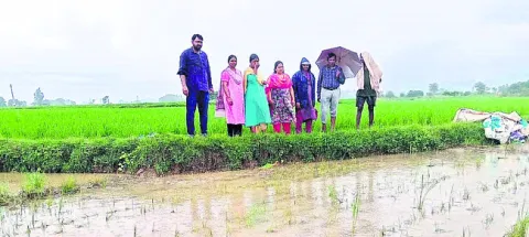 అప్రమ