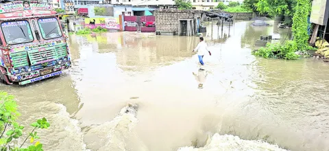 జిల్ల