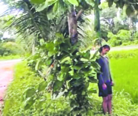 ఇంజినీరింగ్‌ విద్యార్థి బలవన్మరణం 