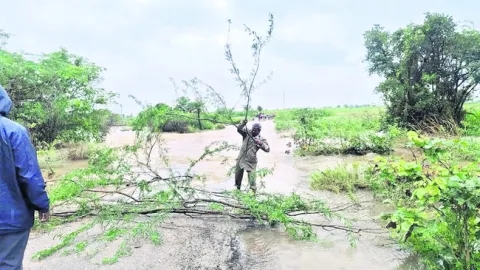 జల వి