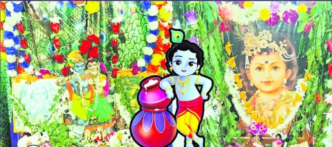 బొరిగుమ్మలో ఘనంగా నందోత్సవాలు 