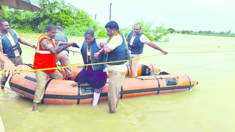 నాట్ల