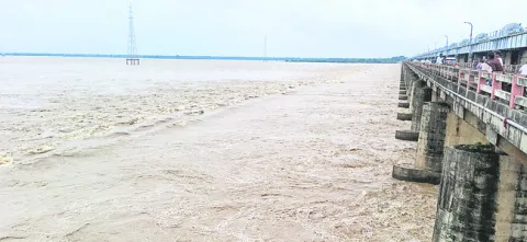 పెరిగ