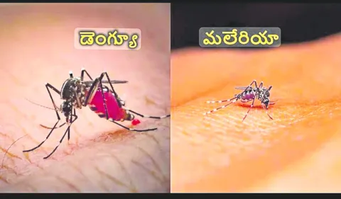 ఏదోమం