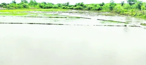వర్షం.. హర్షం 