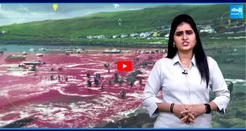 The Red Galilee River Biblical Prophecy or Natural Phenomenon 1