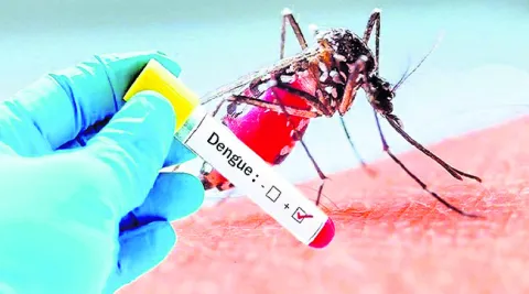 డెంగీ డేంజర్‌ బెల్స్‌