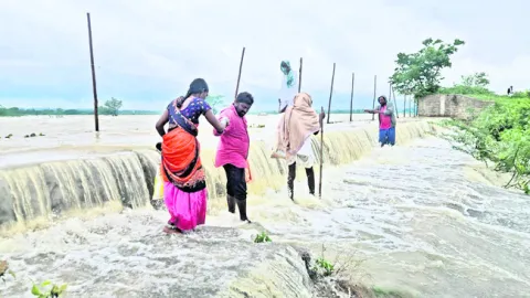 జిల్లాలో మోస్తరు వర్షం 