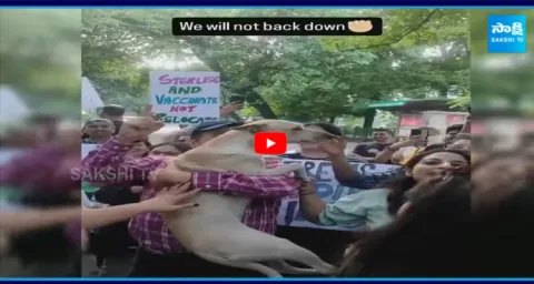 Dog Lovers Protesting Against SC Order On Stray Dogs 1