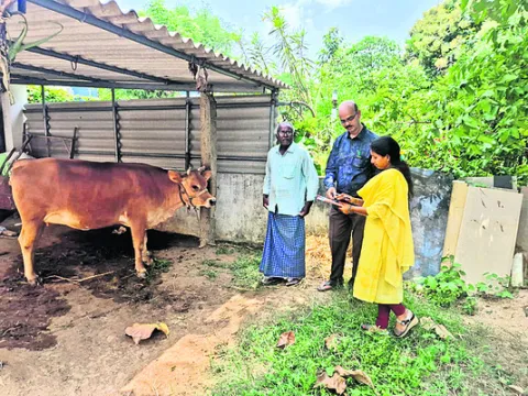 పశు పోషకుల ఆర్థిక స్థితిగతులపై బ్లాంకెట్‌ సర్వే 