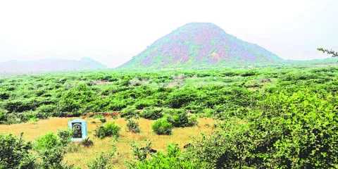 నైరాశ