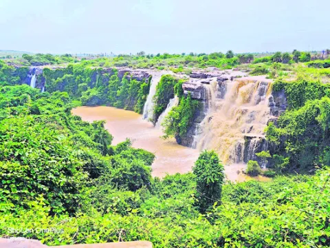 ముఖ్యమైన ఫోన్‌ నంబర్లు
