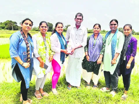 ఆరుతడి పంటల సాగుతో లాభాలు