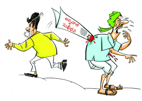 అన్నద