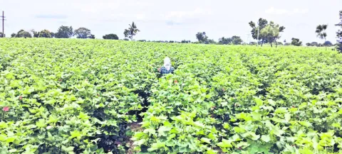 ముందస్తు ఒప్పందంతో ఆందోళన 
