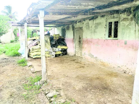 కాసుల