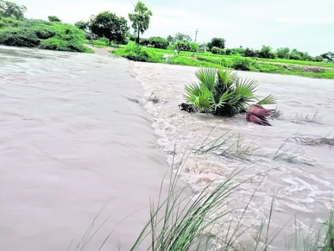 ఈ నెల