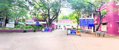 జీజీహ