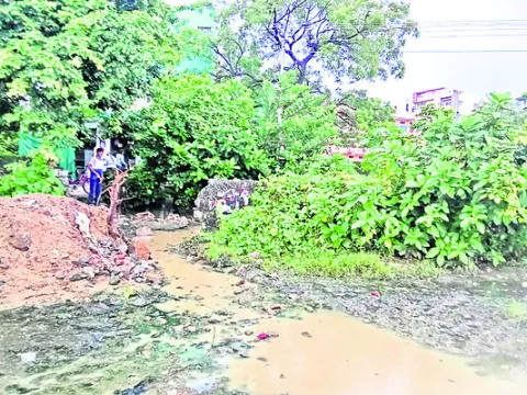 పడకేసిన పారిశుద్ధ ్యం