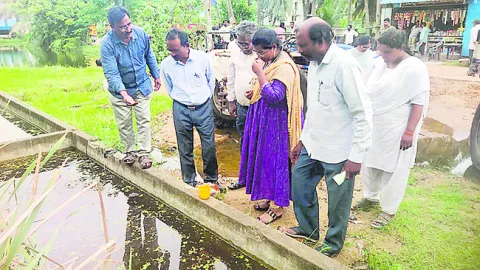 గంబూషియా చేపల విడుదల