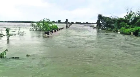 నీట మునిగిన పంటలు 