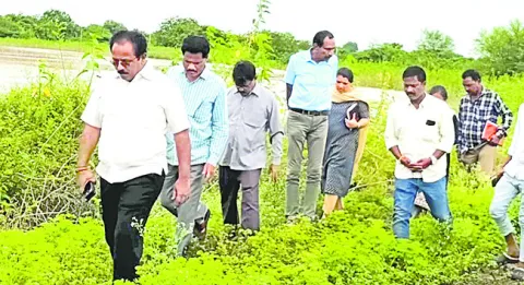 బుధవా